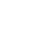 Icon haus