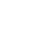 Icon haus